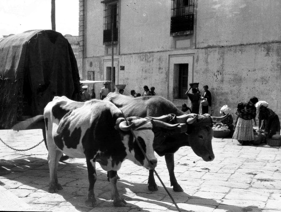 CatedralGuatemala1910Yas 05