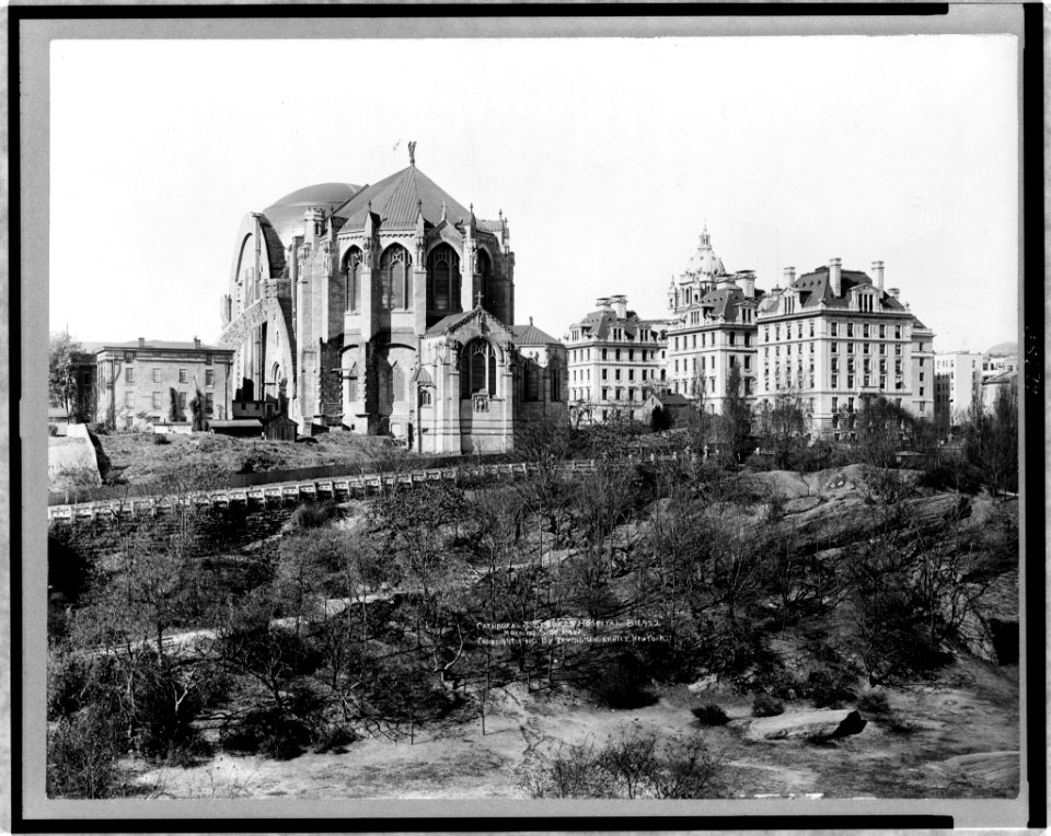 Cathedral & St. Lukes Hospital, Morning Side Park LCCN97506443