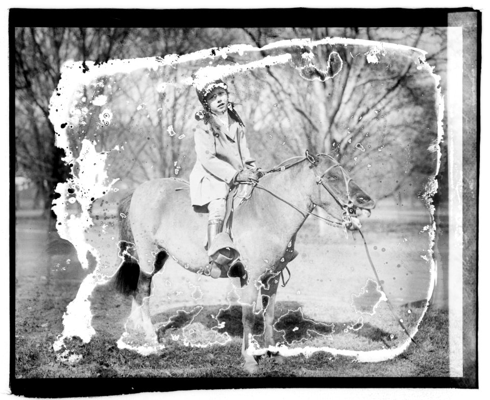 Catherine Augusta McCormick LCCN2016827630