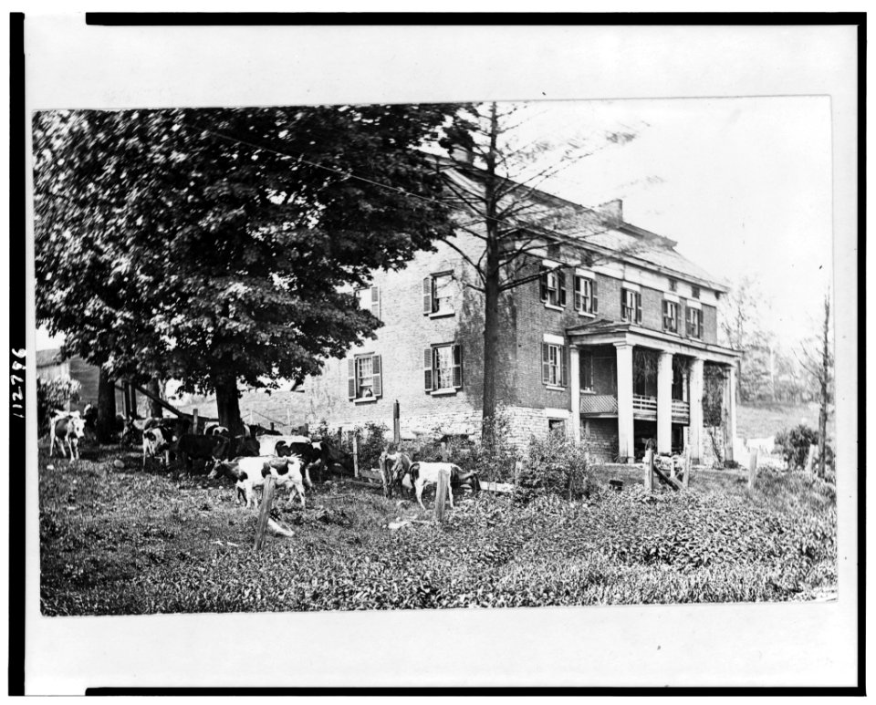 Cattle grazing near a historic house in Herkimer, New York LCCN95501361