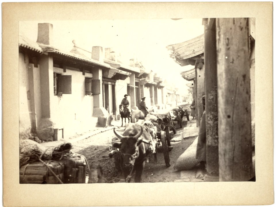 Cattle pulling carts on a street in an unidentified location, probably in Maimachin, Mongolia LCCN99615505