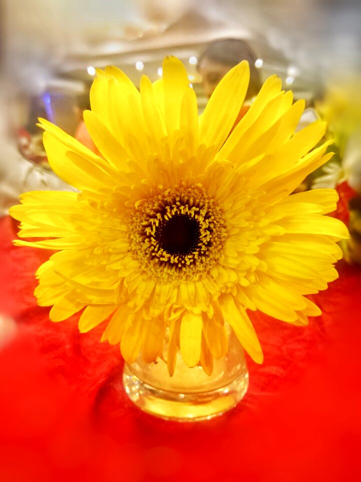 Flower pot yellow