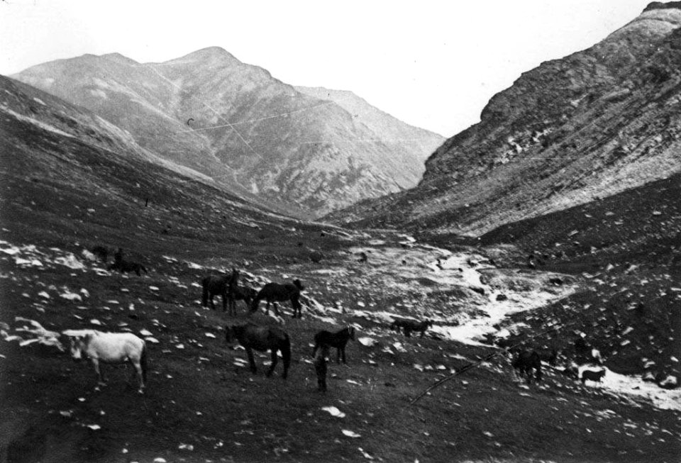 Cavalls i pastor a les Gorges del Freser amb neu