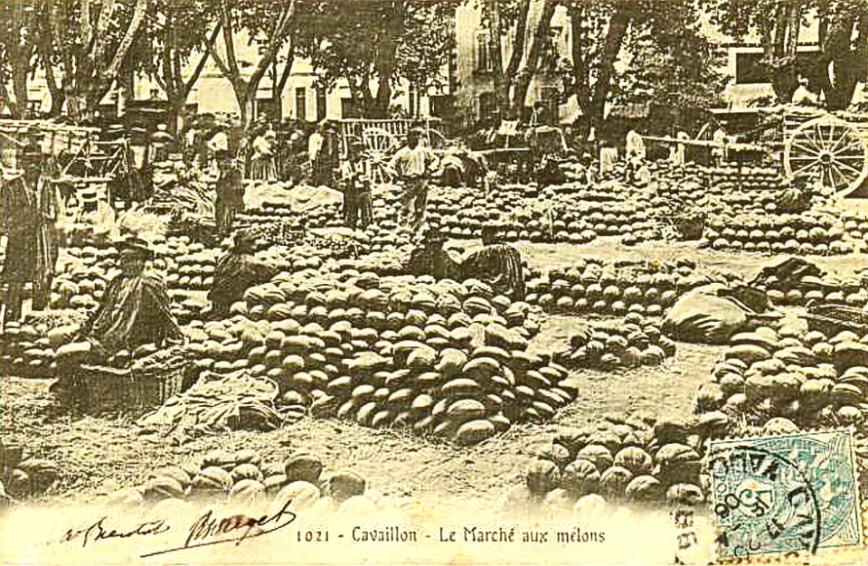 Cavaillon 1906 Maché aux melons