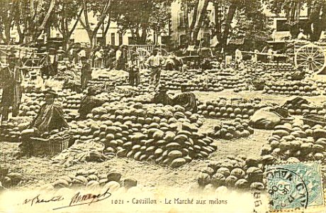 Cavaillon 1906 Maché aux melons