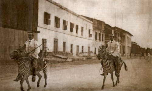 Cavallery of German Schutztruppe 1911