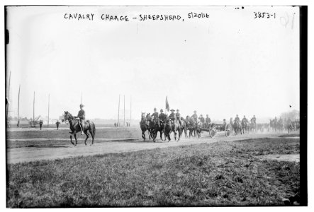 Cavalry Charge - Sheepshead, 5-20-16 LCCN2014701643