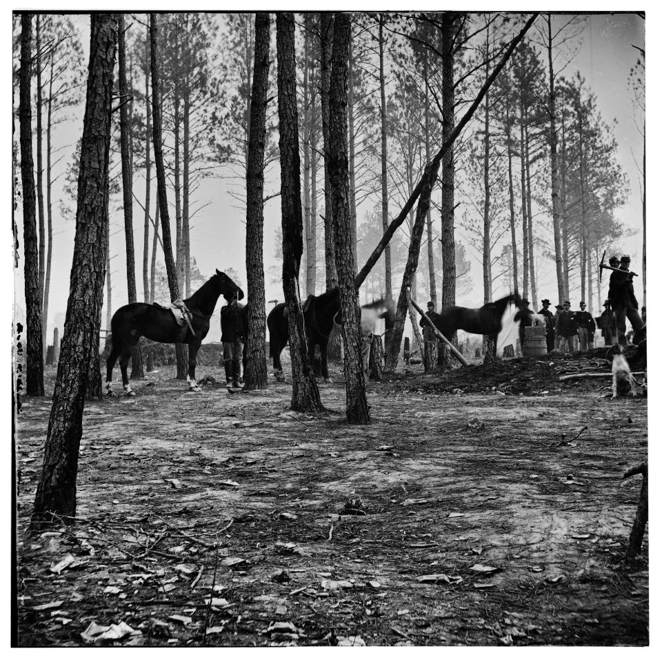 Cavalry detail at Gen. Adelbert Ames headquarters LOC cwpb.01558