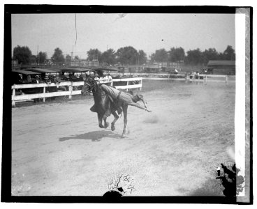 Cavalry drill at auto races LOC npcc.06767