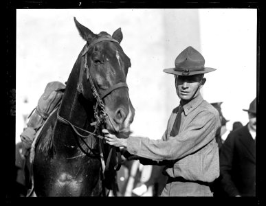 Cavalry, Washington Monument, Washington, D.C. LCCN2016890783