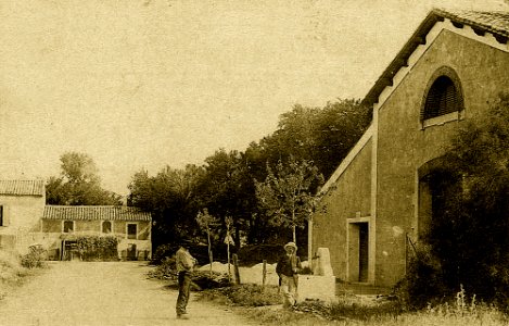 Cave Couderc à Saliers