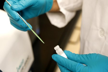 CBP Laboratories and Scientific Services (LSS), Springfield, Virginia - 31557061768