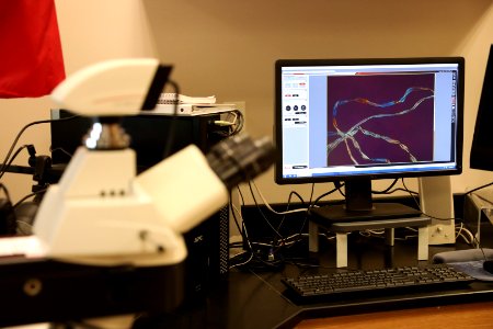 CBP Laboratories and Scientific Services (LSS), Springfield, Virginia - 44517456105
