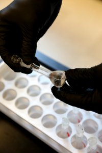 CBP Laboratories and Scientific Services (LSS), Springfield, Virginia - 44708022064