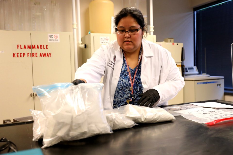 CBP Laboratories and Scientific Services (LSS), Springfield, Virginia - 43615116210
