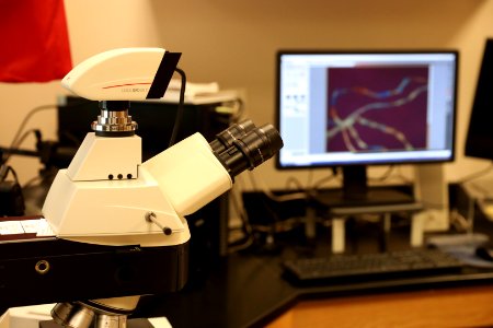 CBP Laboratories and Scientific Services (LSS), Springfield, Virginia - 45432511461