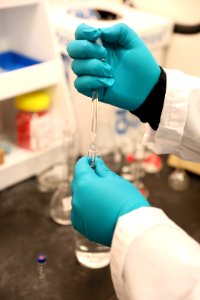 CBP Laboratories and Scientific Services (LSS), Springfield, Virginia - 44708025674