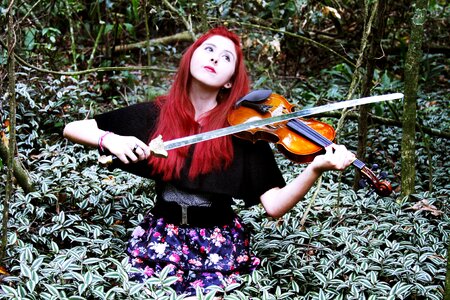 Wood violin violin with sword photo