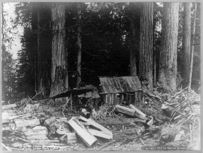 Cedar bark cabin (in lumbering camp, Washington) LCCN2003677276