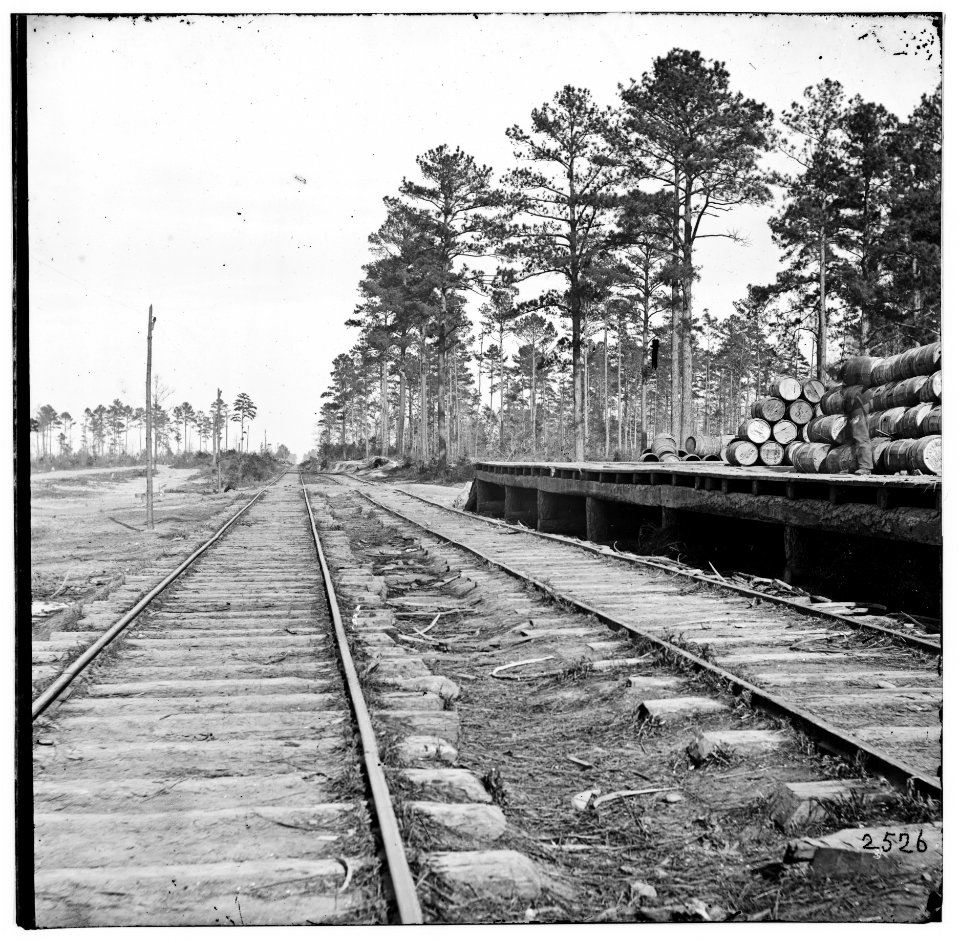 Cedar Level Station, Virginia. Station on City Point Railroad LOC cwpb.01880