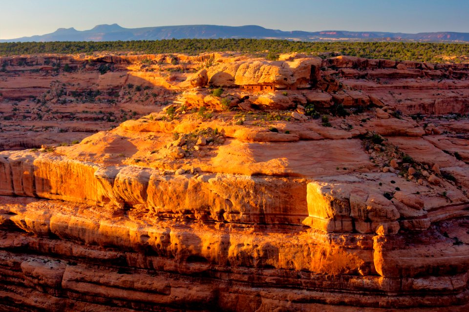 Cedar-mesa with Citadel Ruins photo