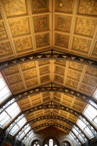 Ceiling of the Central at the Natural History Museum, London 2 photo