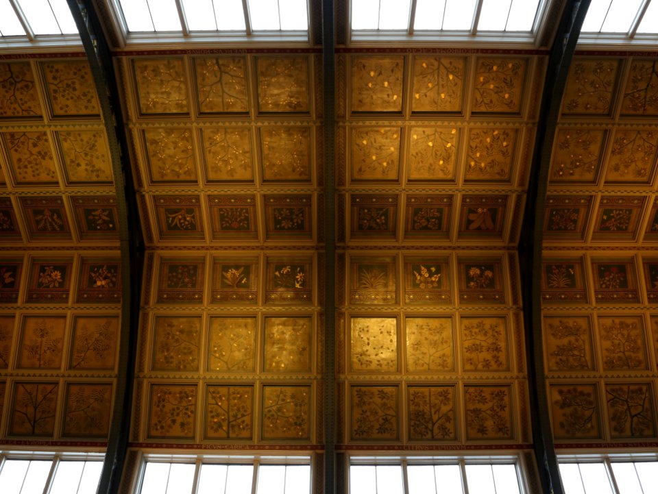 Ceiling of the Central at the Natural History Museum, London (cropped)