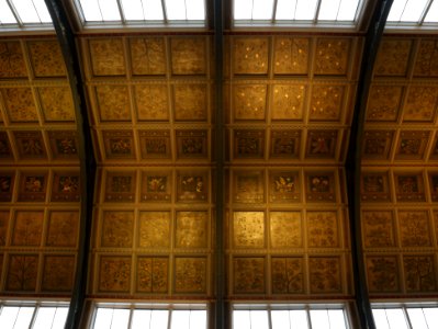 Ceiling of the Central at the Natural History Museum, London (cropped) photo