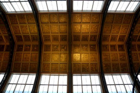 Ceiling of the Central at the Natural History Museum, London photo
