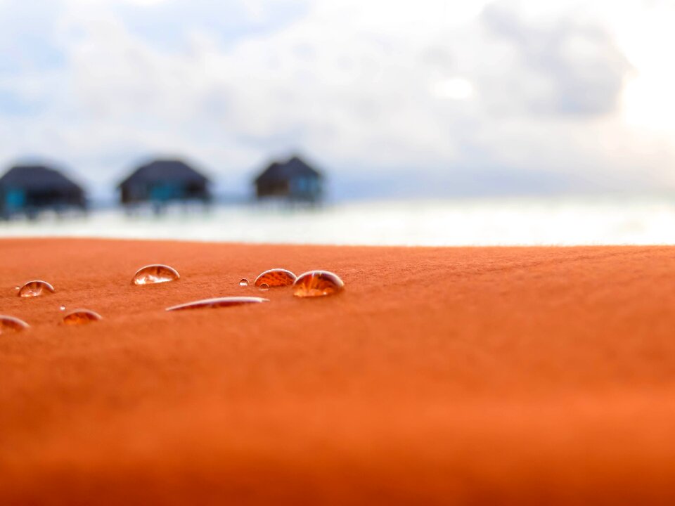 Orange vacation holiday