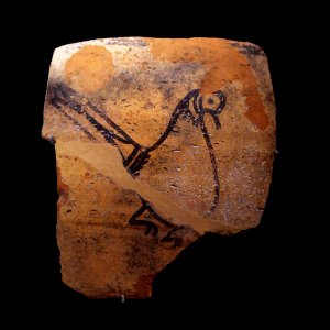 Ceramic fragment-MAHG 027137-IMG 1962-black