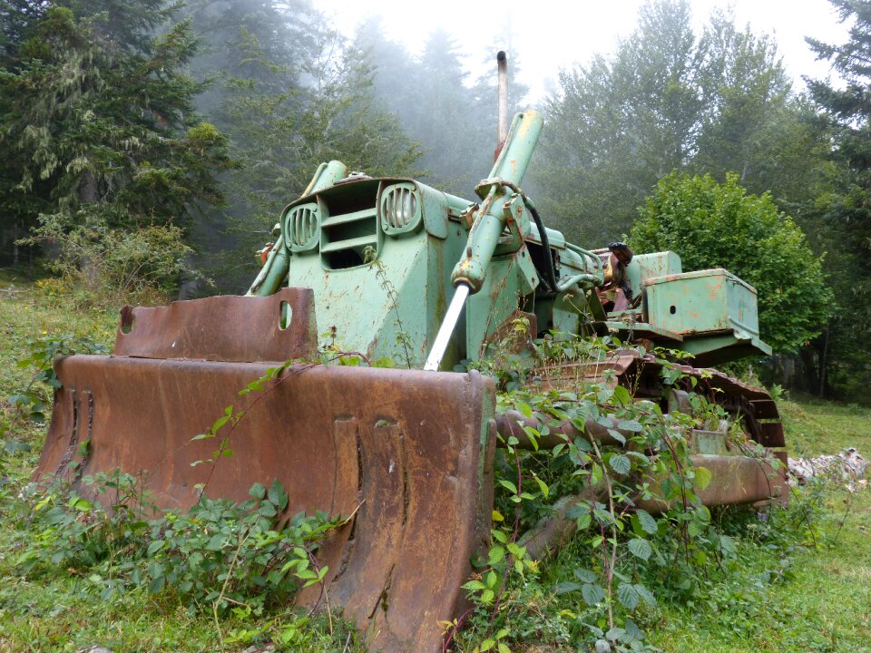 Caterpillar rusty abandonment
