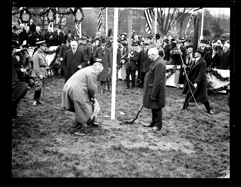 Ceremony; group includes John W. Weeks and Warren Harding. Washington, D.C. LCCN2016891327