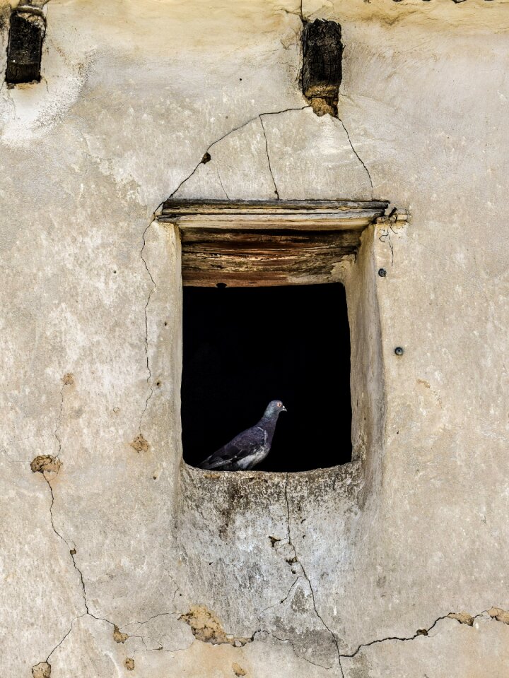 Abandoned decay wall