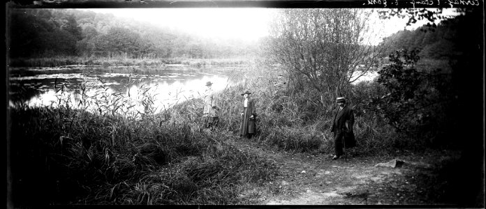Cernay. L'étang. E. Gosse - Fonds Berthelé - 49Fi1136