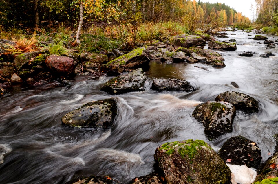 Autumn flowing water water photo