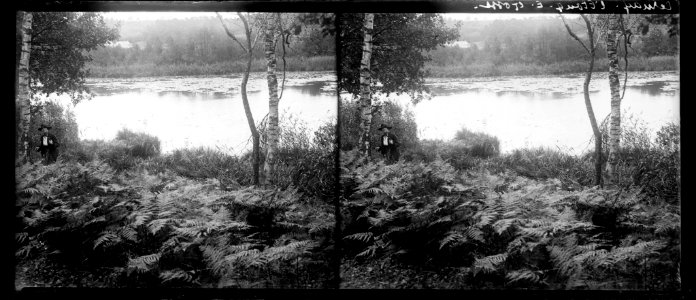Cernay. L'étang. E. Gosse - Fonds Berthelé - 49Fi1137