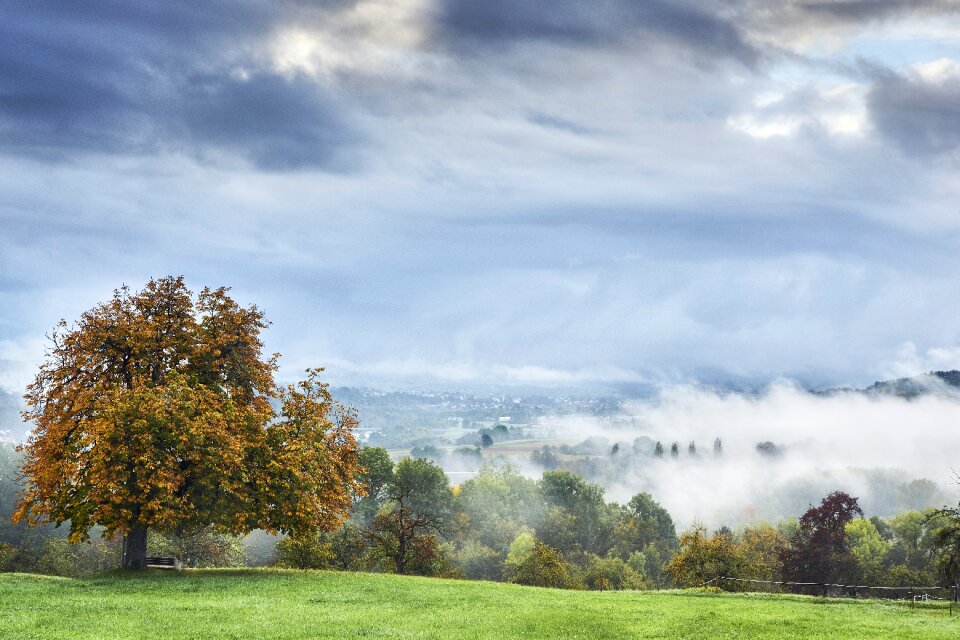 Mood morning hour nature