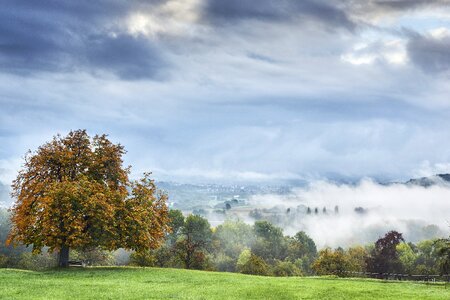 Mood morning hour nature