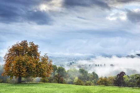 Mood morning hour nature photo