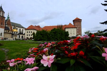 Wawel architecture flowers