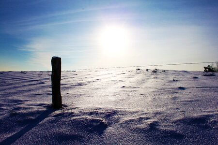 Wood wire sunlight photo