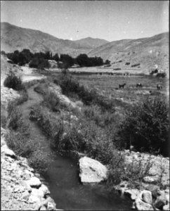 CH-NB - Afghanistan, Chahrshambe (Khvajeh Chahar Shanbeh)- Landschaft - Annemarie Schwarzenbach - SLA-Schwarzenbach-A-5-20-017