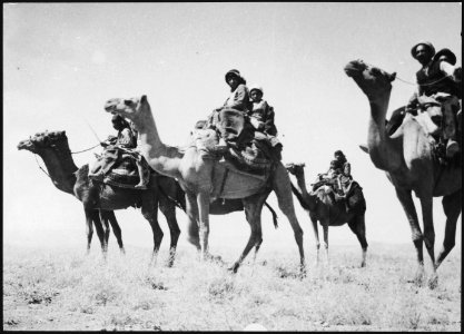 CH-NB - Afghanistan, Islam Kaleh (Eslam Qal'eh)- Menschen - Annemarie Schwarzenbach - SLA-Schwarzenbach-A-5-19-146