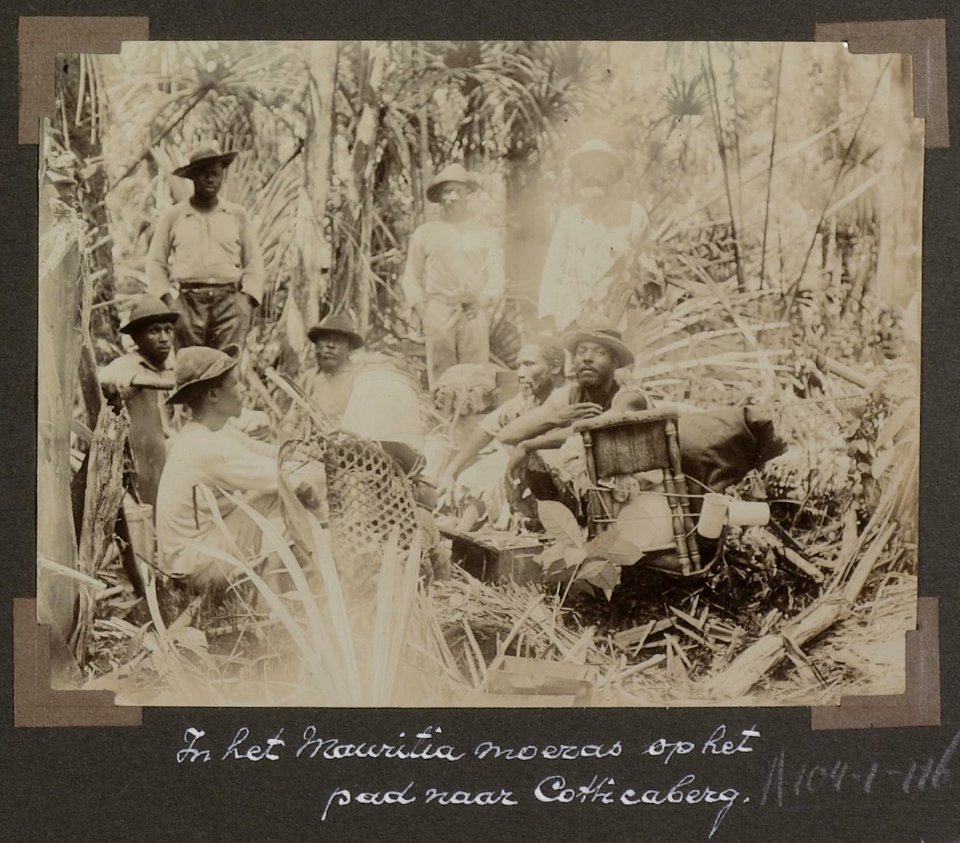 Collectie NMvWereldculturen, RV-A102-1-116, 'In het Mauritia moeras op het pad naar Cotticaberg'. Foto- G.M. Versteeg, 1903-1904