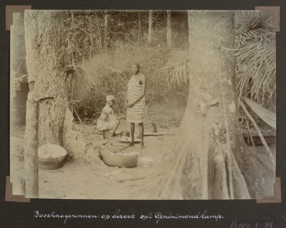 Collectie NMvWereldculturen, RV-A102-1-14, 'Boschnegerinnen op bezoek op het Goninimondkamp.'. Foto- G.M. Versteeg, 1903-1904