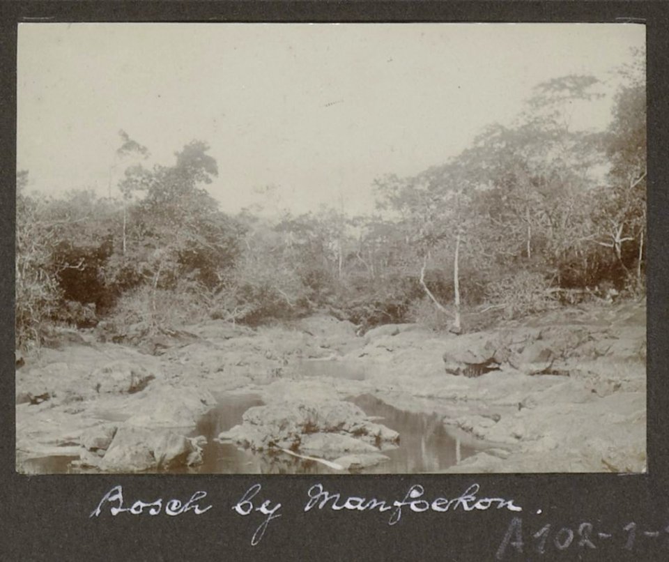 Collectie NMvWereldculturen, RV-A102-1-142, 'Bosch bij Manfoekon'. Foto- G.M. Versteeg, 1903-1904