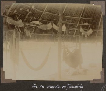 Collectie NMvWereldculturen, RV-A102-1-166, 'In de monta op Jamaike'. Foto- G.M. Versteeg, 1903-1904