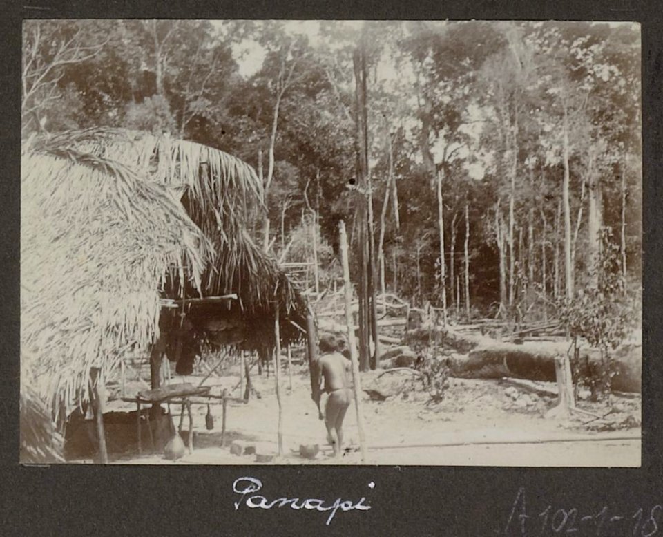 Collectie NMvWereldculturen, RV-A102-1-184, 'Panapi'. Foto- G.M. Versteeg, 1903-1904