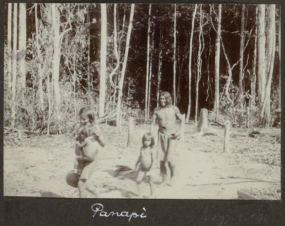 Collectie NMvWereldculturen, RV-A102-1-194, 'Panapi'. Foto- G.M. Versteeg, 1903-1904